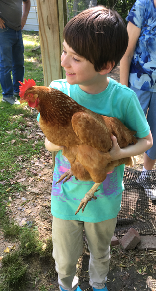 Also: Otto got to hold a chicken